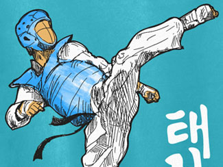 taekwondo tshirt design