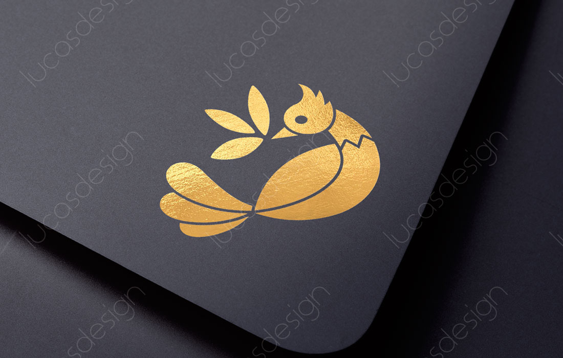 logo ambalaje etichete pungi condimente logo ambalaje etichete pungi condimente